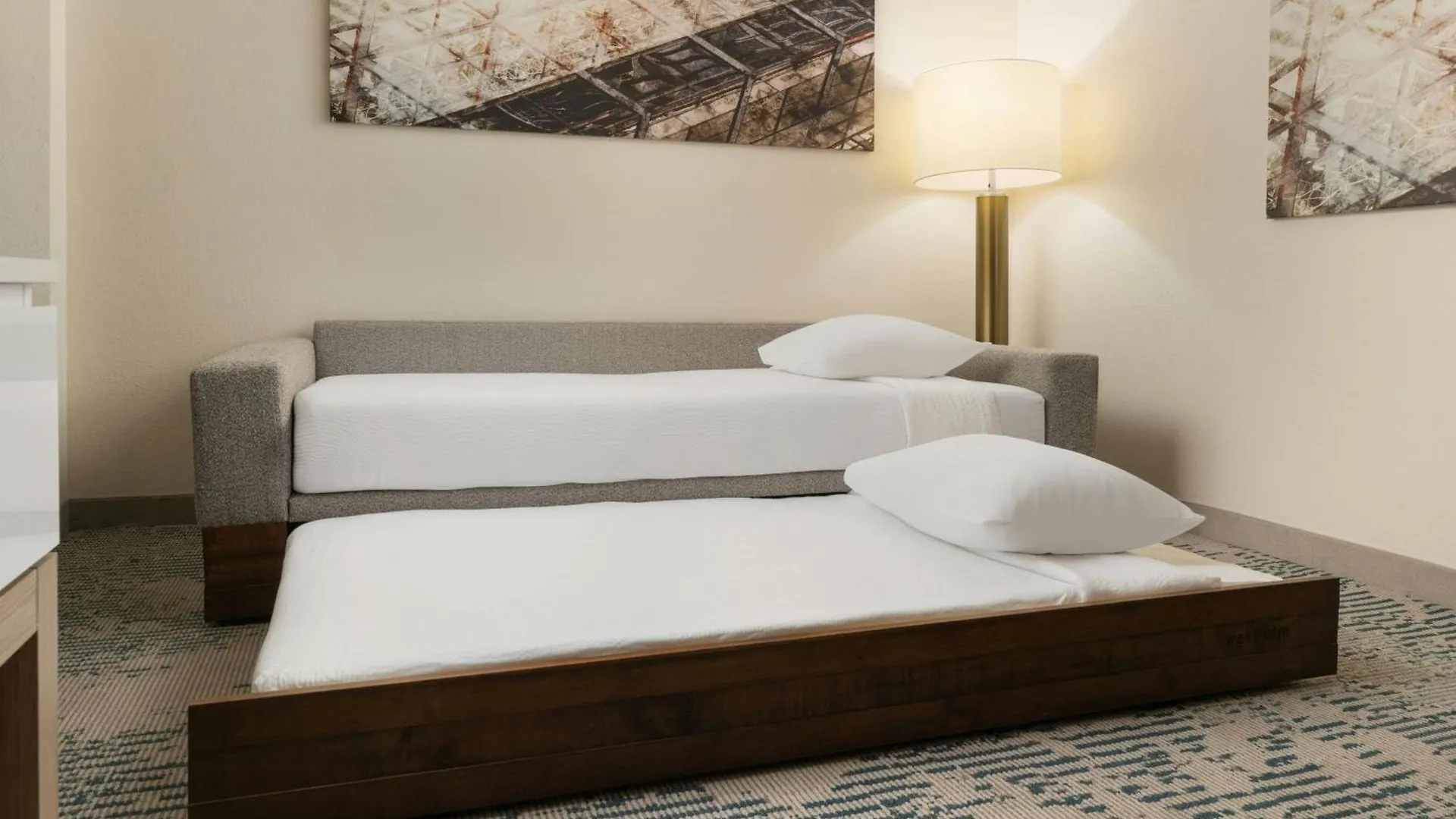 Hotel Springhill Suites By Marriott Tampa Westshore
