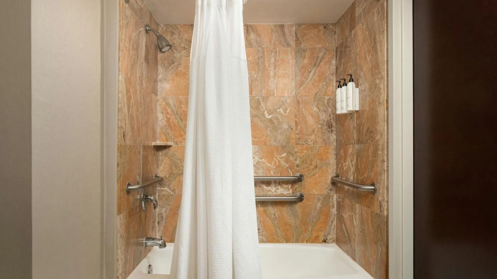 Springhill Suites By Marriott Tampa Westshore