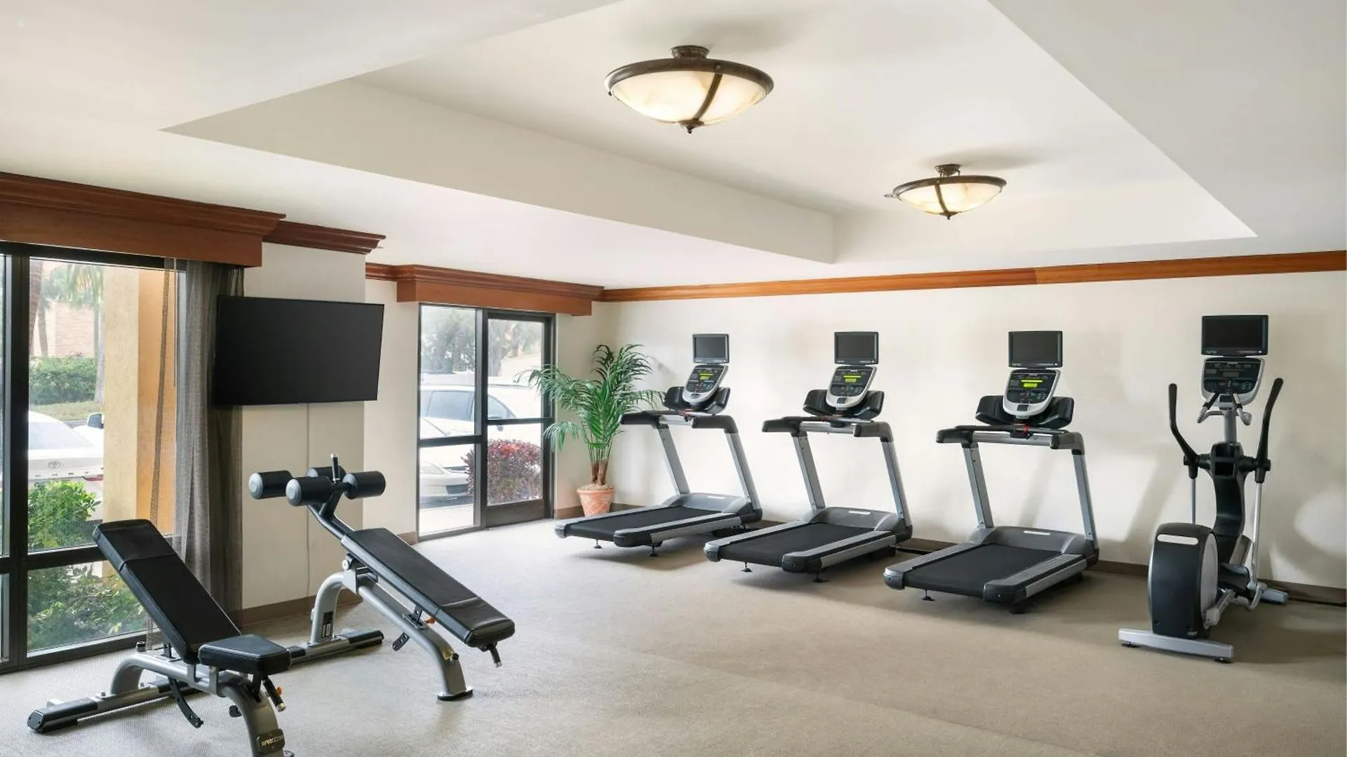 Hotel Springhill Suites By Marriott Tampa Westshore
