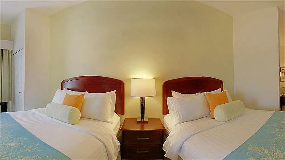 Hotel Springhill Suites By Marriott Tampa Westshore