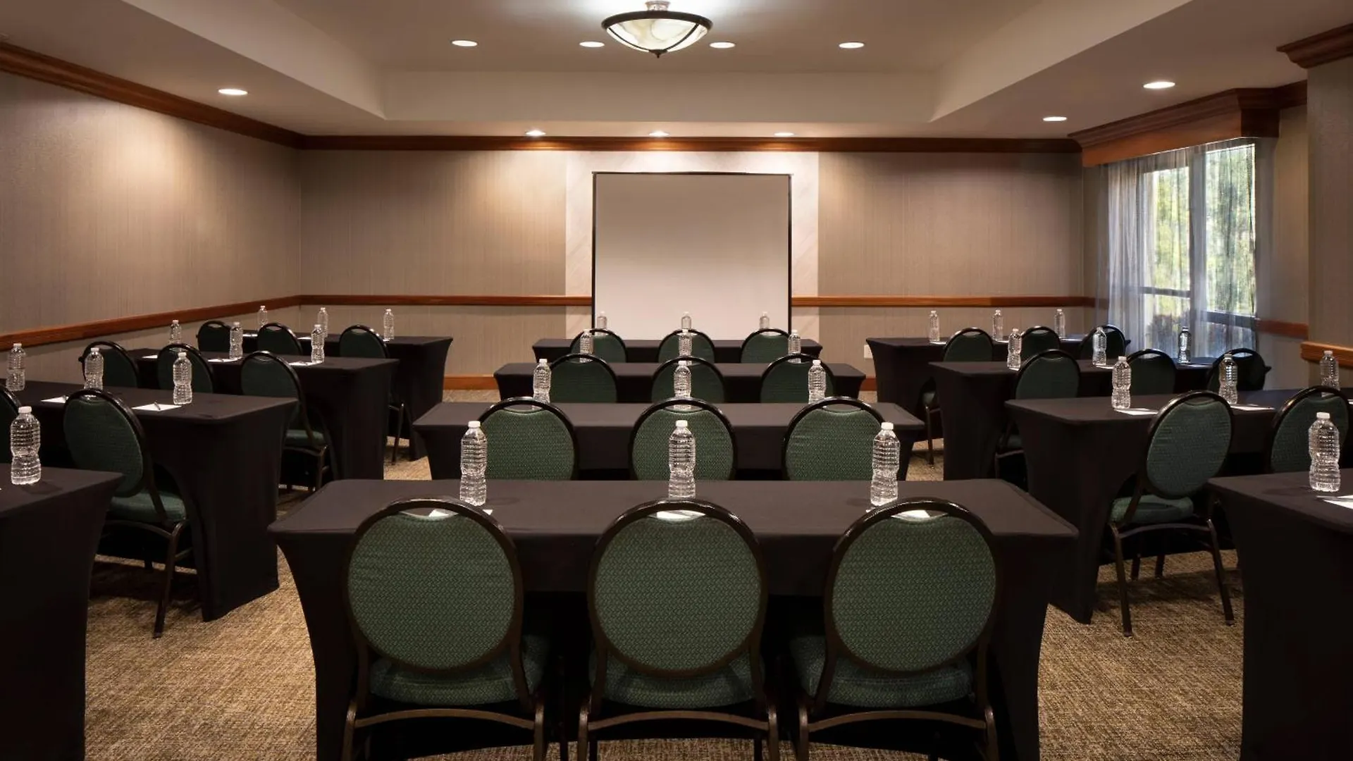 Hotel Springhill Suites By Marriott Tampa Westshore